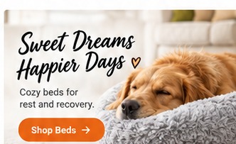 Sweet Dreams Happier Days