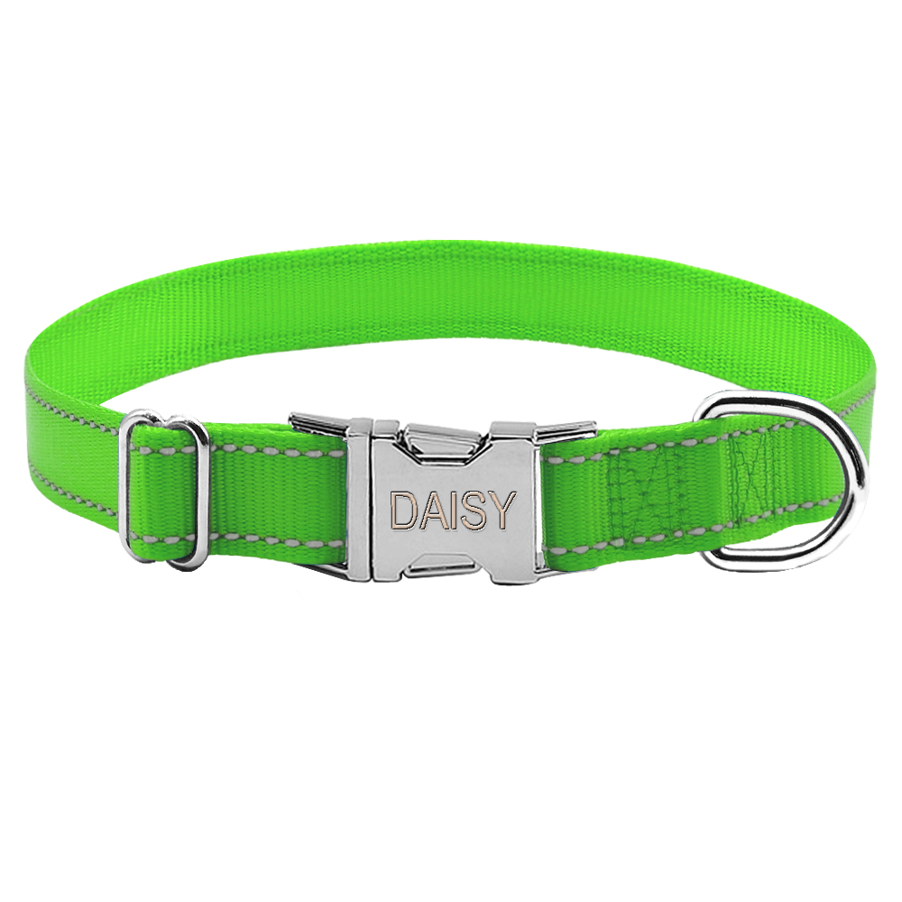Engraved Nylon Dog Collar