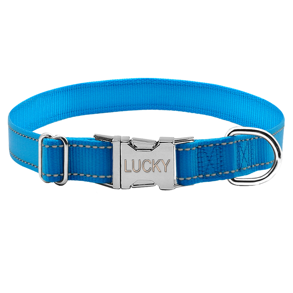 Engraved Nylon Dog Collar1