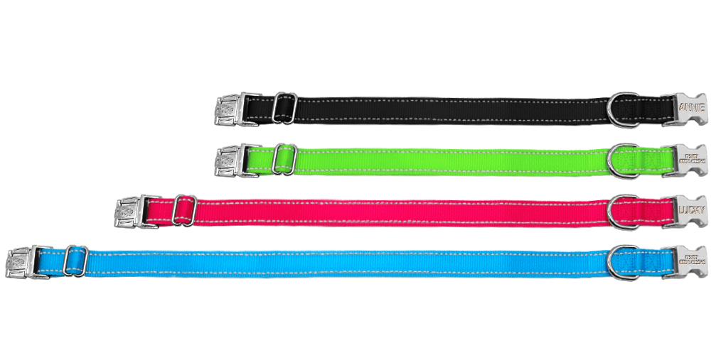 Engraved Nylon Dog Collar3