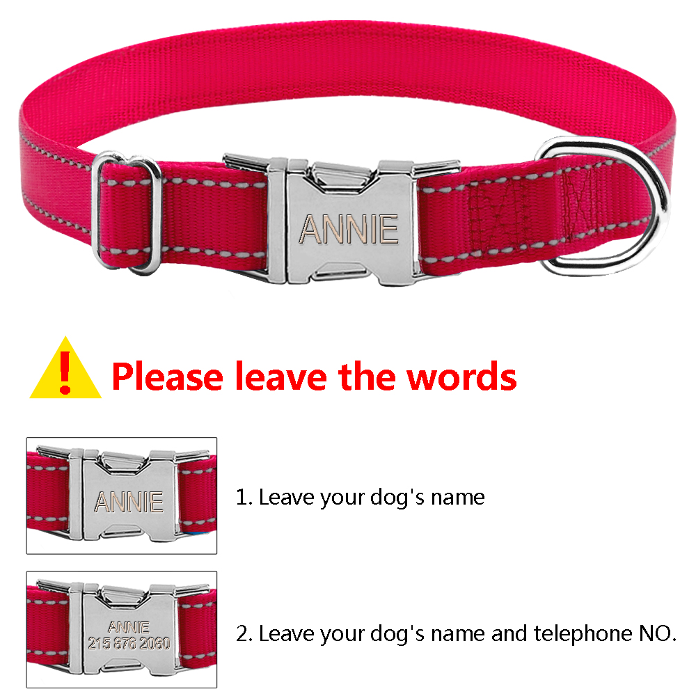 Engraved Nylon Dog Collar4