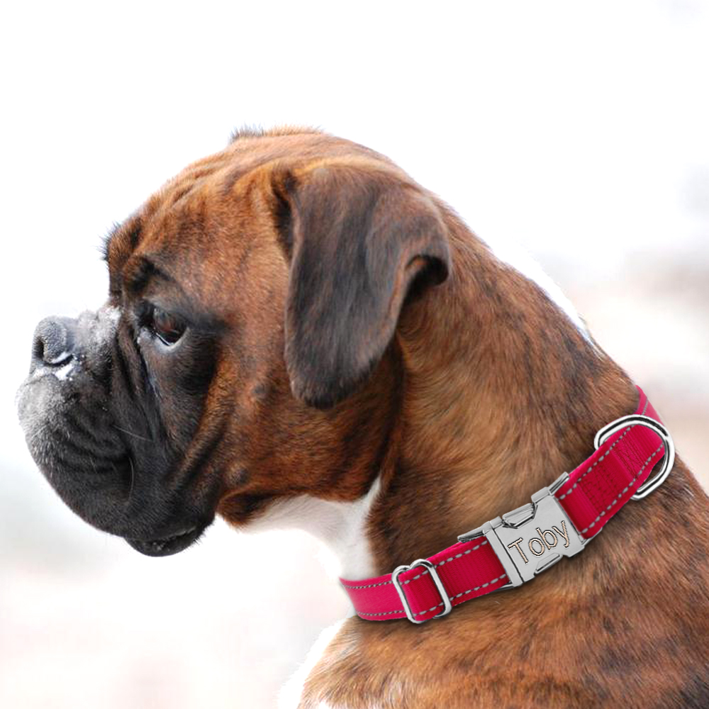 Engraved Nylon Dog Collar5