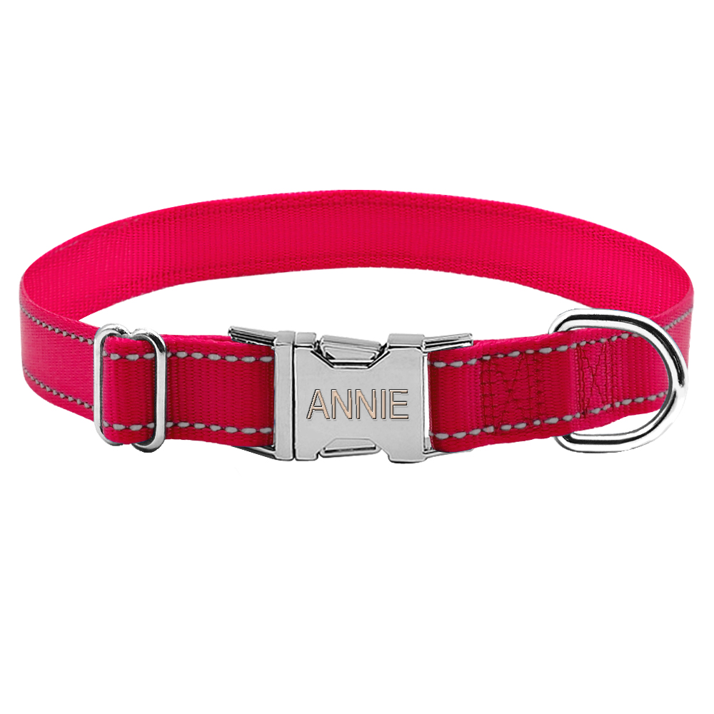 Engraved Nylon Dog Collar6