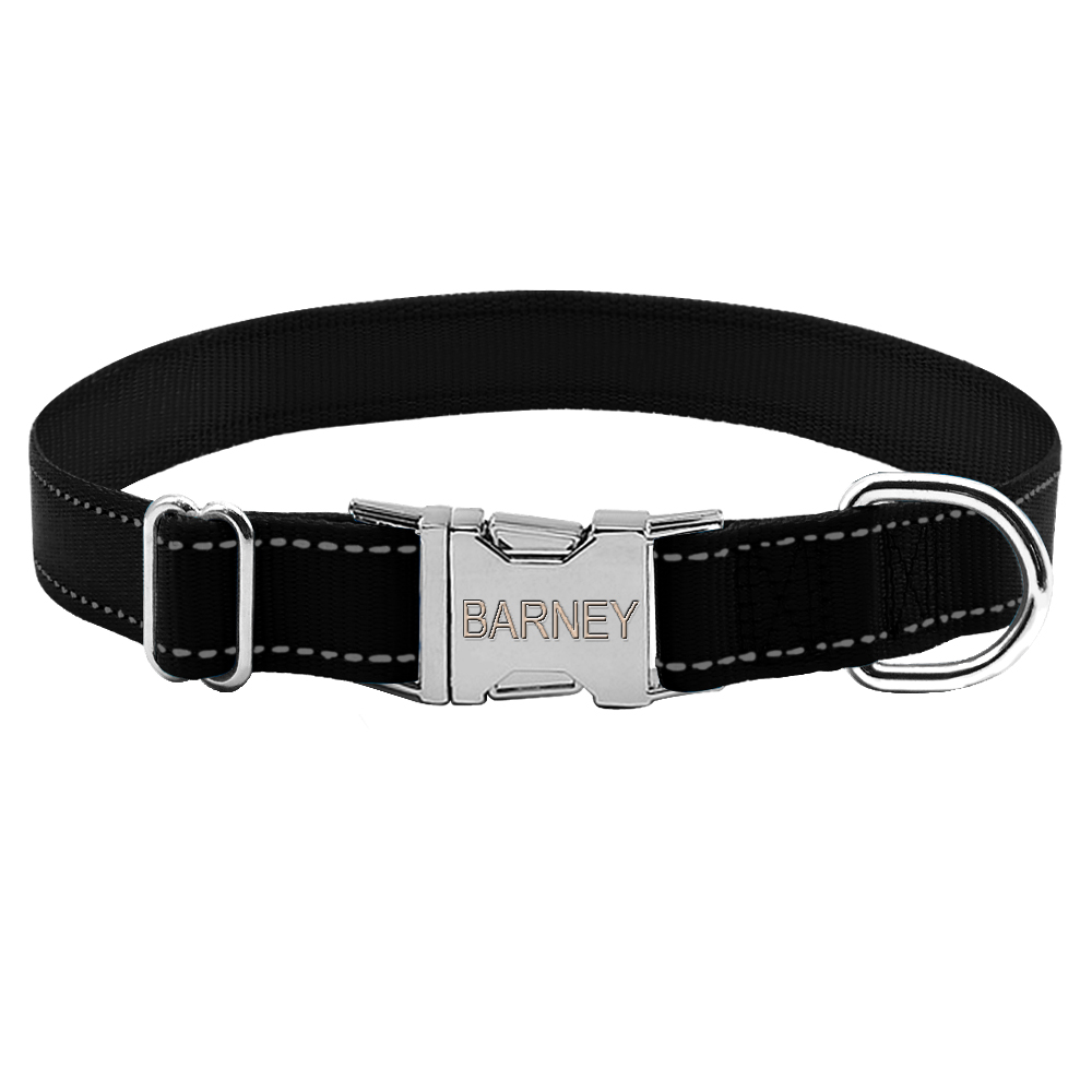 Engraved Nylon Dog Collar8