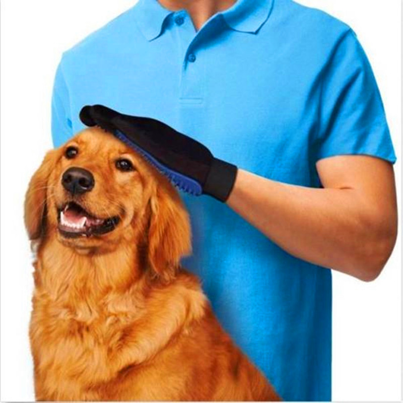 deshed your dog with glove massage brush