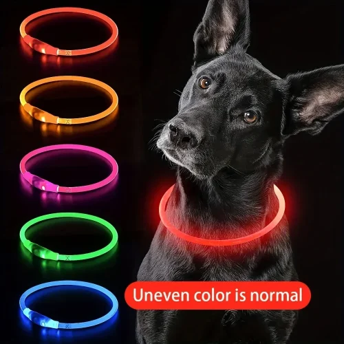 USB Rechargeable LED Dog Collar – Light-Up Glowing Collar for Night Walks, Safety & Visibility