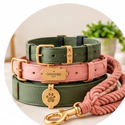 Collars & Leashes