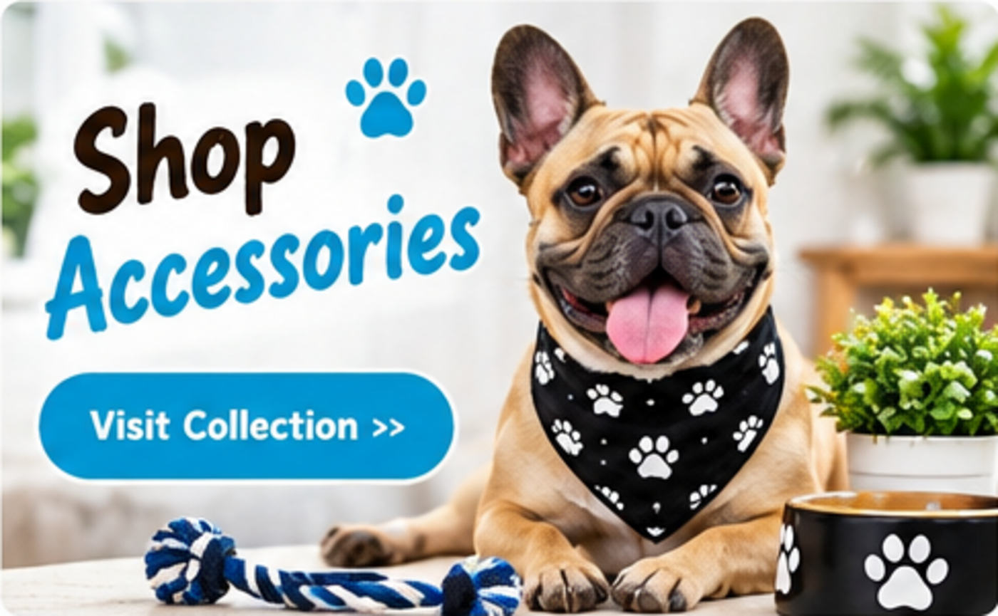 Shop Accessories