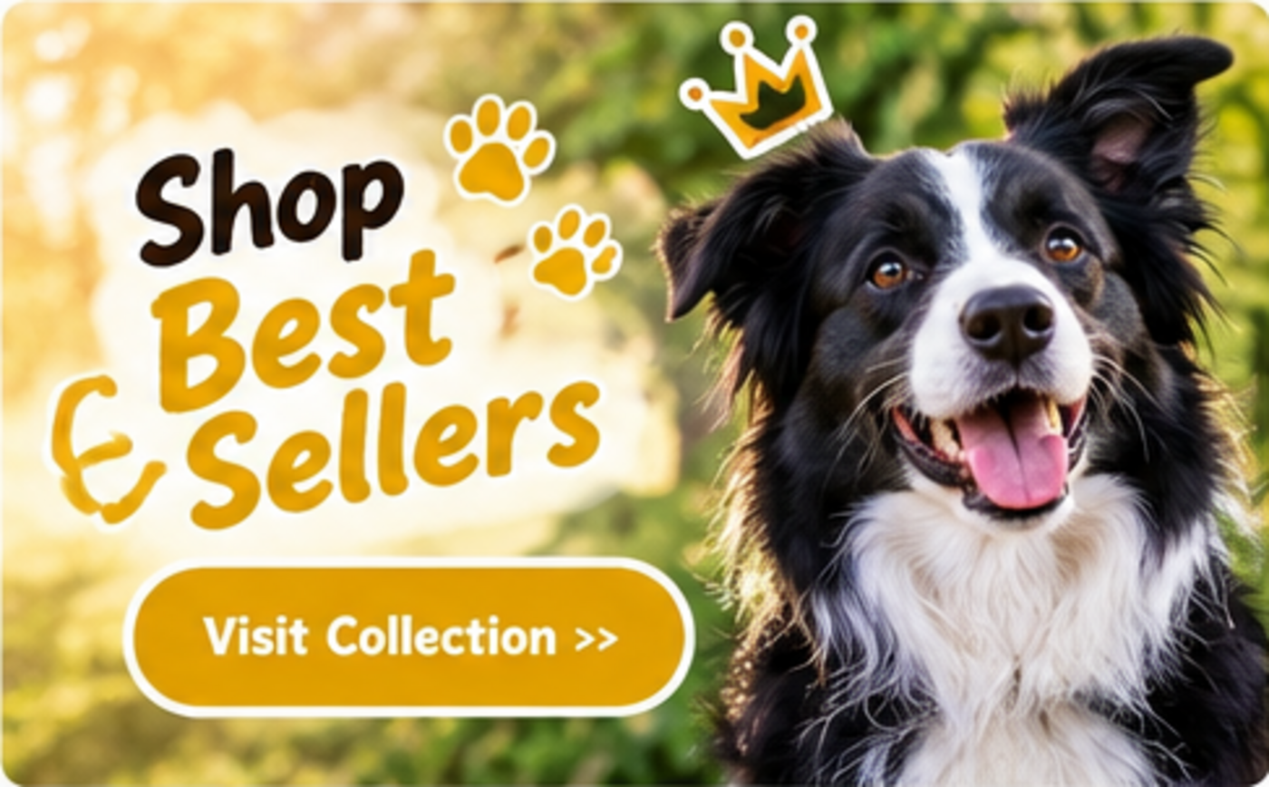 Shop Best Sellers