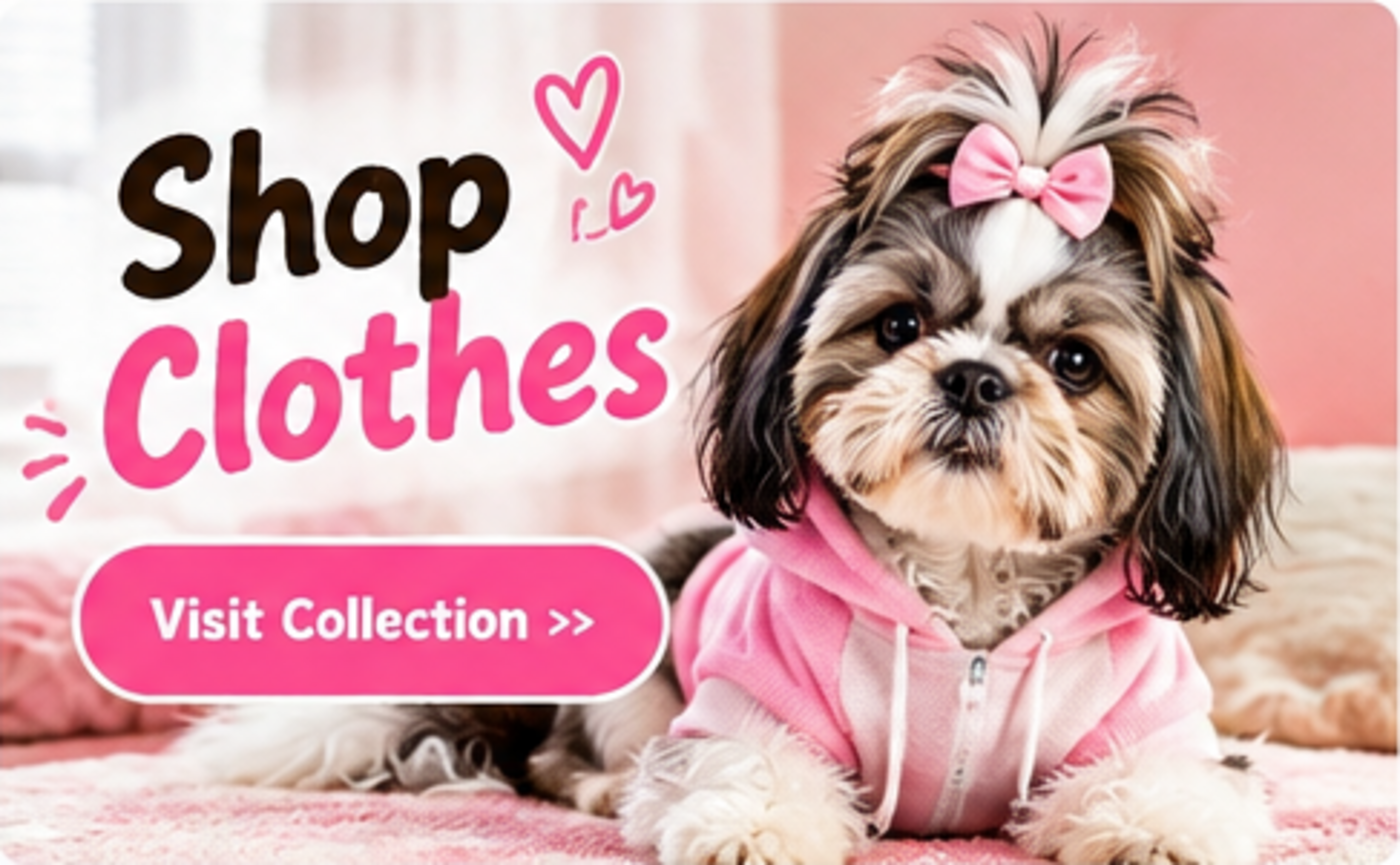 Shop Clothes