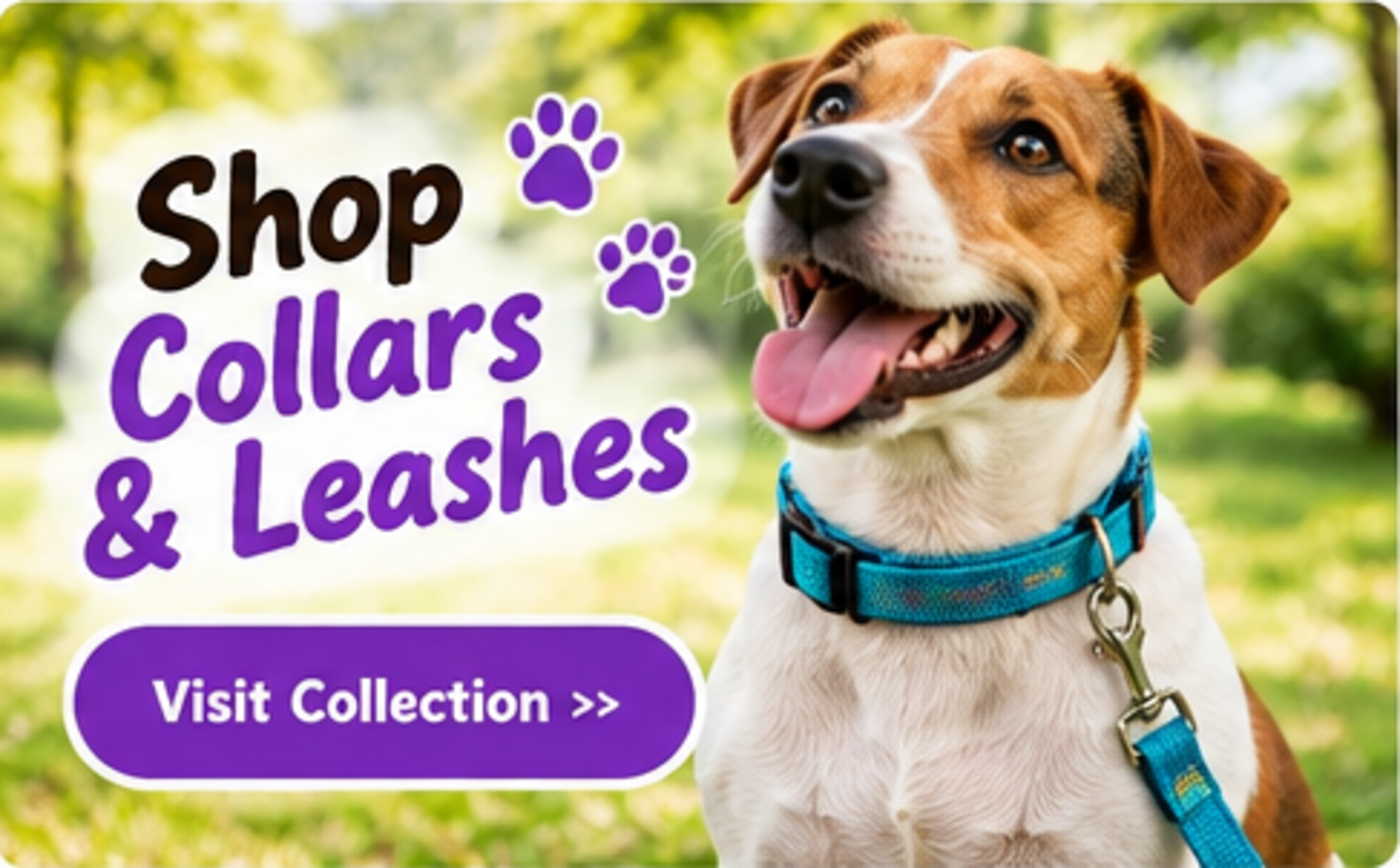 Shop Collars and Leashes