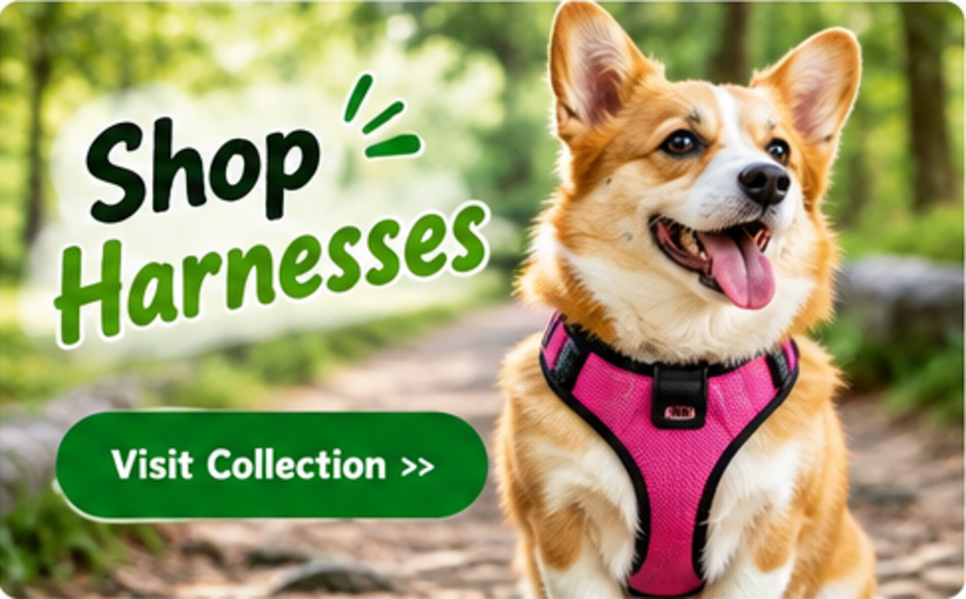 Shop Harnesses