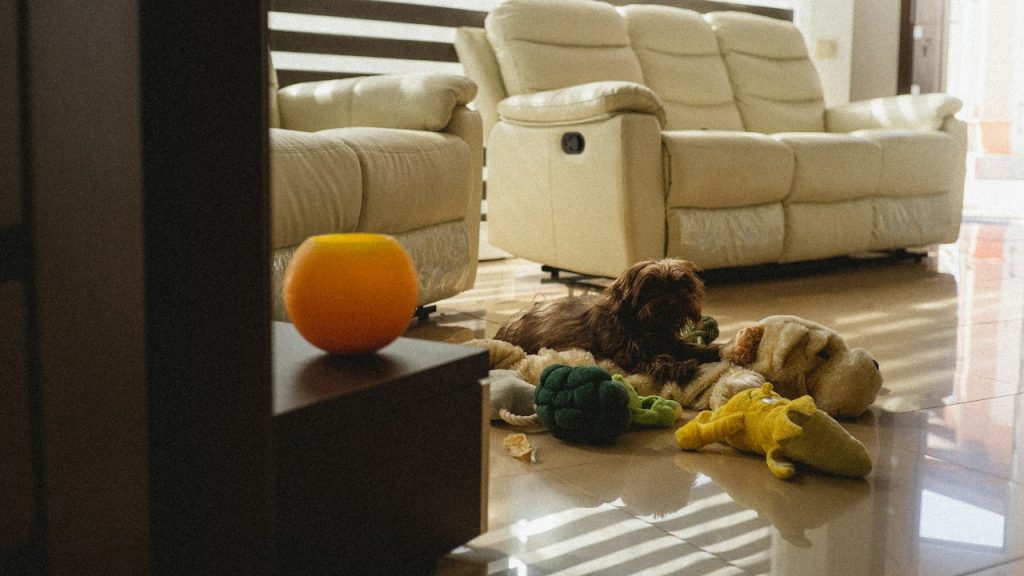 Dog playing with enrichment toys for mental stimulation